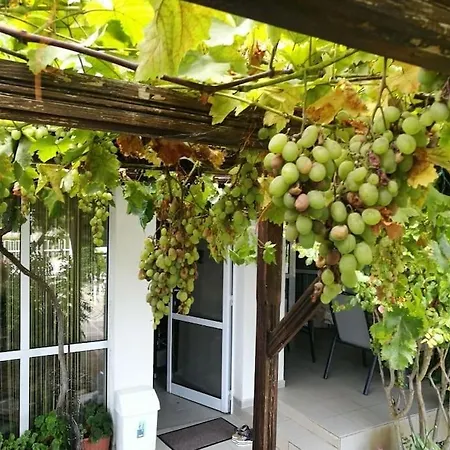 яна Case de vacanță Sveti Vlas