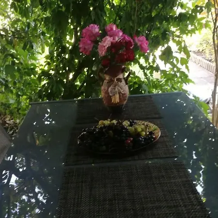 яна Hébergement de vacances