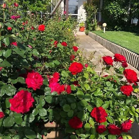 яна Hébergement de vacances
