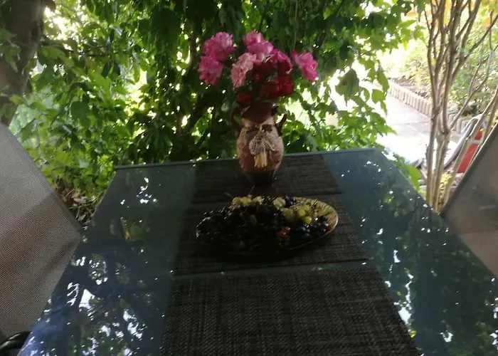 яна Hébergement de vacances