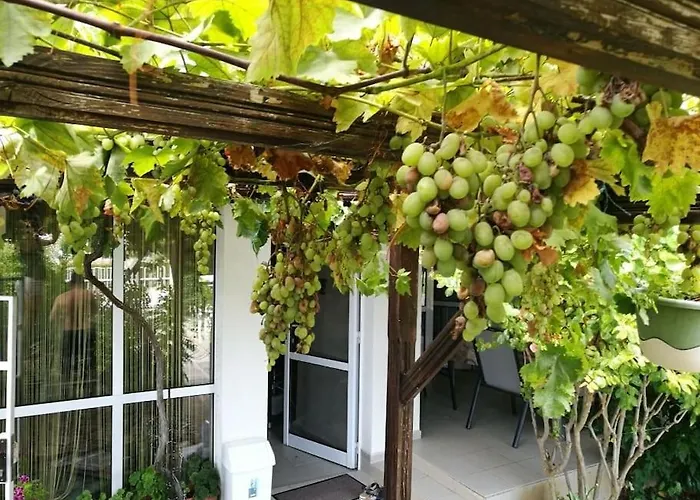 яна Hébergement de vacances Sveti Vlas